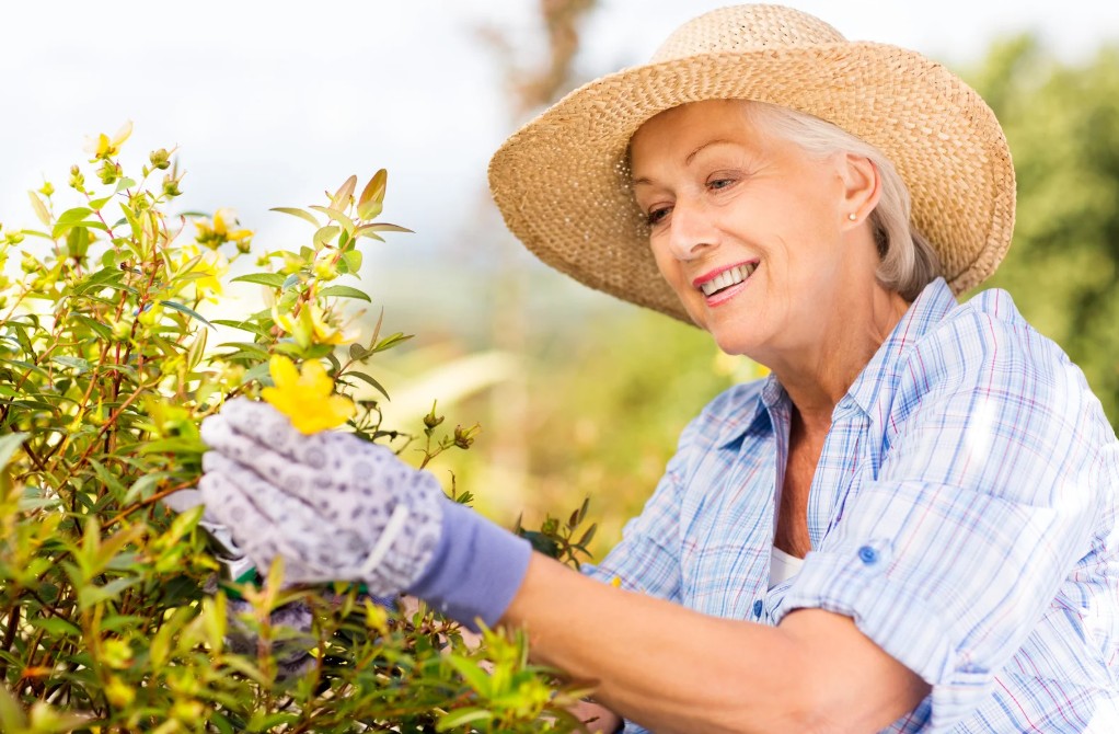 faith based wellness for seniors